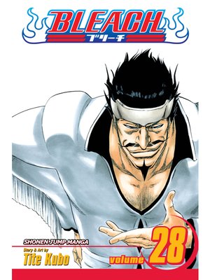 cover image of Bleach, Volume 28